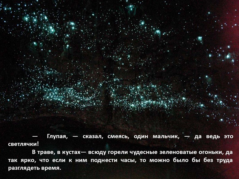 —  Глупая, — сказал, смеясь, один мальчик, — да ведь это светлячки! 